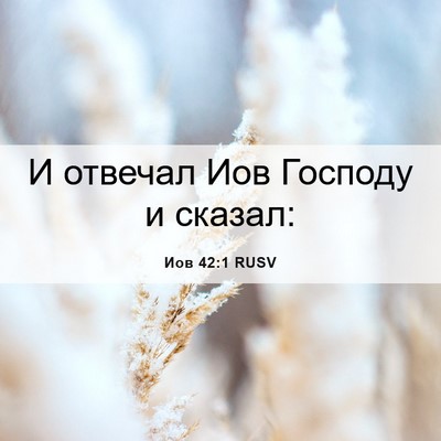 Picture 06 - Иов 42:1 RUSV - И отвечал Иов Господу и - Bible Verse Picture