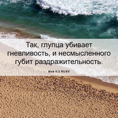 Picture 06 - Иов 5:2 RUSV - Так, глупца убивает - Bible Verse Picture
