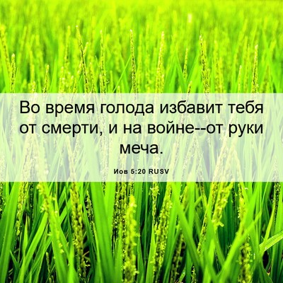 Picture 06 - Иов 5:20 RUSV - Во время голода избавит - Bible Verse Picture