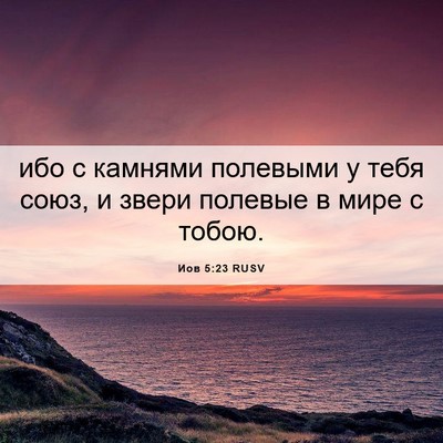 Picture 06 - Иов 5:23 RUSV - ибо с камнями полевыми у - Bible Verse Picture