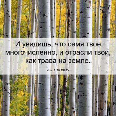 Picture 06 - Иов 5:25 RUSV - И увидишь, что семя твое - Bible Verse Picture