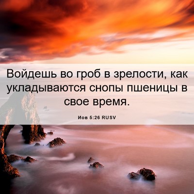 Picture 06 - Иов 5:26 RUSV - Войдешь во гроб в зрелости, - Bible Verse Picture