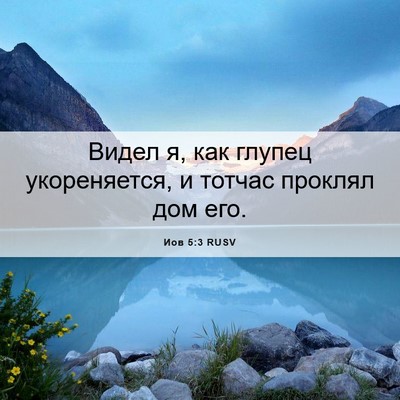 Picture 06 - Иов 5:3 RUSV - Видел я, как глупец - Bible Verse Picture