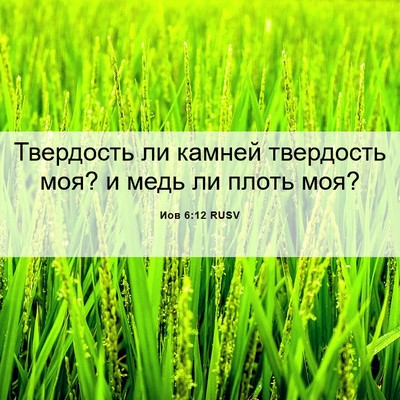 Picture 06 - Иов 6:12 RUSV - Твердость ли камней - Bible Verse Picture