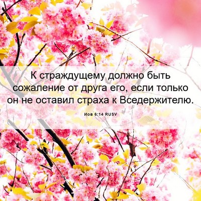 Picture 06 - Иов 6:14 RUSV - К страждущему должно быть - Bible Verse Picture