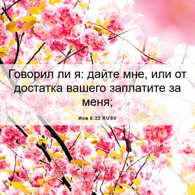 Picture 06 - Иов 6:22 RUSV - Говорил ли я: дайте мне, или - Bible Verse Picture