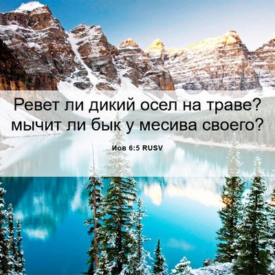 Picture 06 - Иов 6:5 RUSV - Ревет ли дикий осел на - Bible Verse Picture