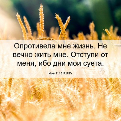 Picture 06 - Иов 7:16 RUSV - Опротивела мне жизнь. Не - Bible Verse Picture