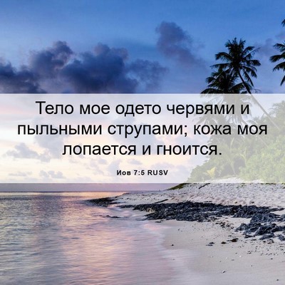 Picture 06 - Иов 7:5 RUSV - Тело мое одето червями и - Bible Verse Picture