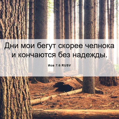 Picture 06 - Иов 7:6 RUSV - Дни мои бегут скорее - Bible Verse Picture