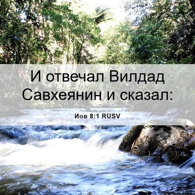 Picture 06 - Иов 8:1 RUSV - И отвечал Вилдад Савхеянин - Bible Verse Picture