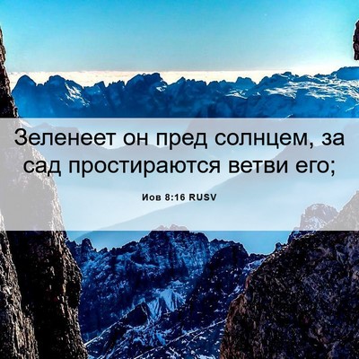 Picture 06 - Иов 8:16 RUSV - Зеленеет он пред солнцем, - Bible Verse Picture
