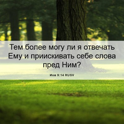 Picture 06 - Иов 9:14 RUSV - Тем более могу ли я - Bible Verse Picture