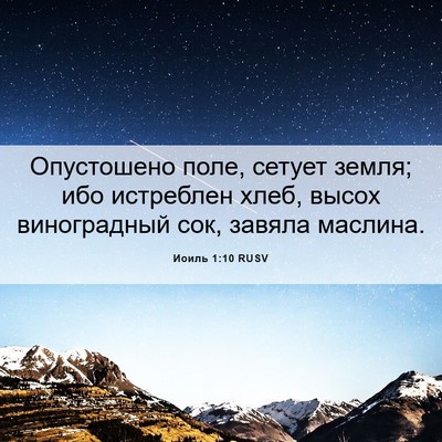 Picture 06 - Иоиль 1:10 RUSV - Опустошено поле, сетует - Bible Verse Picture