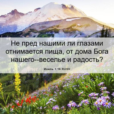 Picture 06 - Иоиль 1:16 RUSV - Не пред нашими ли глазами - Bible Verse Picture