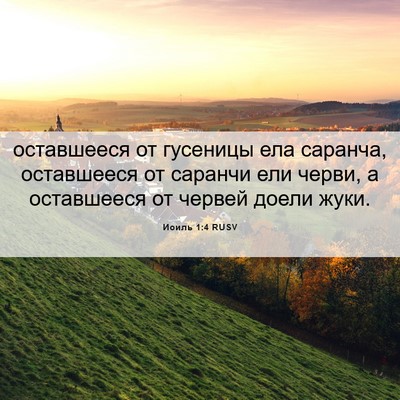 Picture 06 - Иоиль 1:4 RUSV - оставшееся от гусеницы ела - Bible Verse Picture