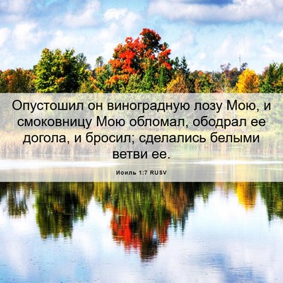 Picture 06 - Иоиль 1:7 RUSV - Опустошил он виноградную - Bible Verse Picture