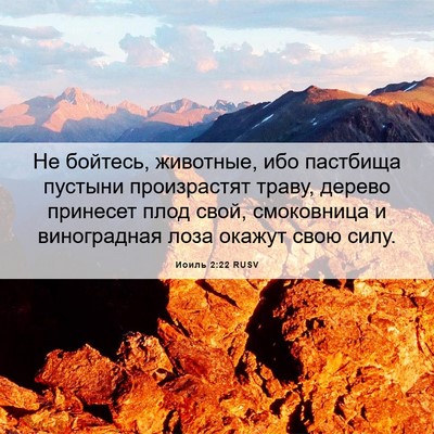Picture 06 - Иоиль 2:22 RUSV - Не бойтесь, животные, ибо - Bible Verse Picture