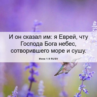 Picture 06 - Иона 1:9 RUSV - И он сказал им: я Еврей, чту - Bible Verse Picture