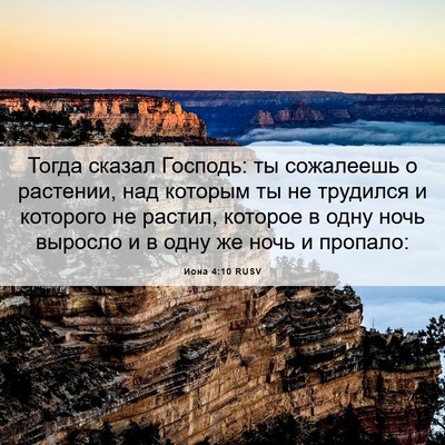 Picture 06 - Иона 4:10 RUSV - Тогда сказал Господь: ты - Bible Verse Picture