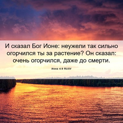 Picture 06 - Иона 4:9 RUSV - И сказал Бог Ионе: неужели - Bible Verse Picture