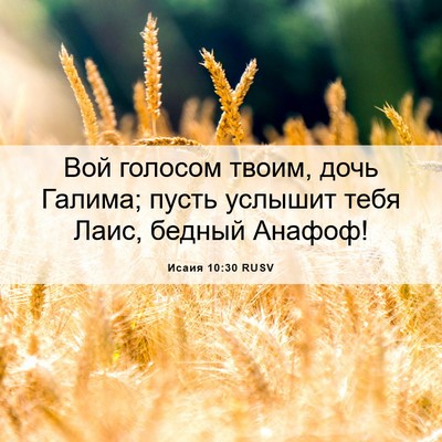 Picture 06 - Исаия 10:30 RUSV - Вой голосом твоим, дочь - Bible Verse Picture