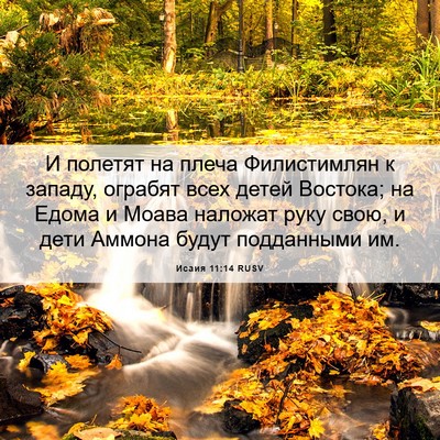 Picture 06 - Исаия 11:14 RUSV - И полетят на плеча - Bible Verse Picture