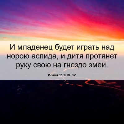 Picture 06 - Исаия 11:8 RUSV - И младенец будет играть - Bible Verse Picture