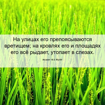Picture 06 - Исаия 15:3 RUSV - На улицах его - Bible Verse Picture