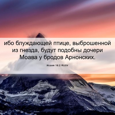 Picture 06 - Исаия 16:2 RUSV - ибо блуждающей птице, - Bible Verse Picture