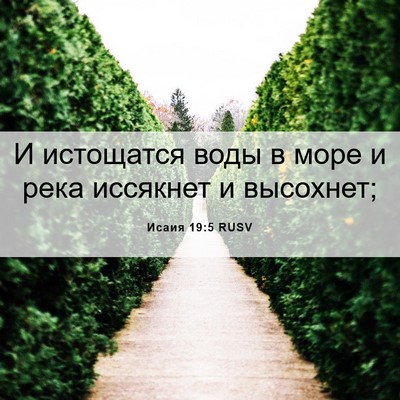 Picture 06 - Исаия 19:5 RUSV - И истощатся воды в море и - Bible Verse Picture