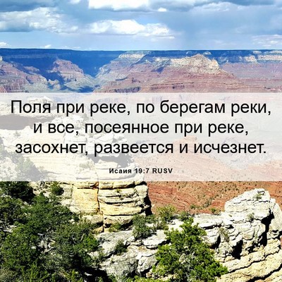 Picture 06 - Исаия 19:7 RUSV - Поля при реке, по берегам - Bible Verse Picture