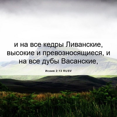 Picture 06 - Исаия 2:13 RUSV - и на все кедры Ливанские, - Bible Verse Picture