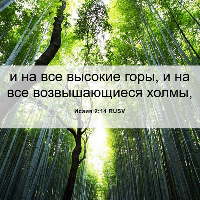 Picture 06 - Исаия 2:14 RUSV - и на все высокие горы, и на - Bible Verse Picture