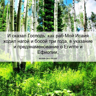 Picture 06 - Исаия 20:3 RUSV - И сказал Господь: как раб - Bible Verse Picture