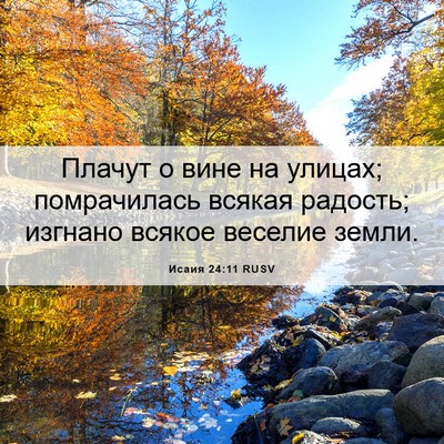 Picture 06 - Исаия 24:11 RUSV - Плачут о вине на улицах; - Bible Verse Picture