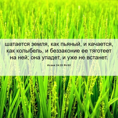 Picture 06 - Исаия 24:20 RUSV - шатается земля, как пьяный, - Bible Verse Picture