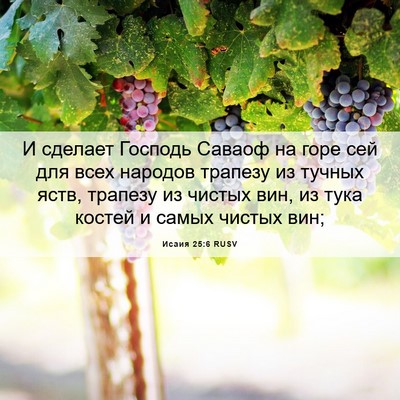 Picture 06 - Исаия 25:6 RUSV - И сделает Господь Саваоф - Bible Verse Picture