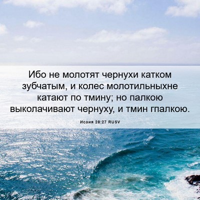 Picture 06 - Исаия 28:27 RUSV - Ибо не молотят чернухи - Bible Verse Picture