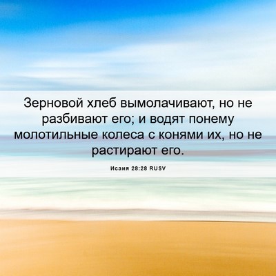 Picture 06 - Исаия 28:28 RUSV - Зерновой хлеб - Bible Verse Picture