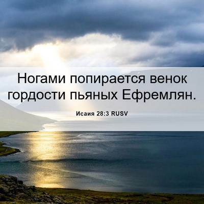 Picture 06 - Исаия 28:3 RUSV - Ногами попирается венок - Bible Verse Picture