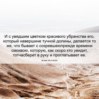 Picture 06 - Исаия 28:4 RUSV - И с увядшим цветком - Bible Verse Picture