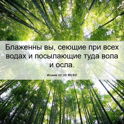 Picture 06 - Исаия 32:20 RUSV - Блаженны вы, сеющие при - Bible Verse Picture