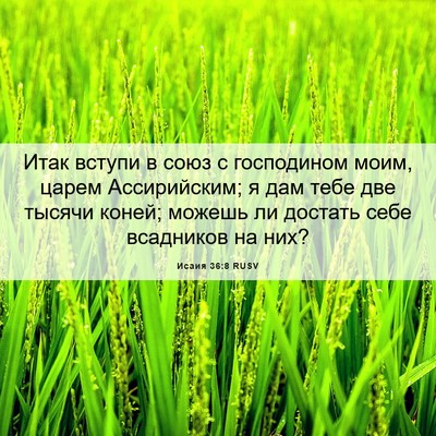 Picture 06 - Исаия 36:8 RUSV - Итак вступи в союз с - Bible Verse Picture