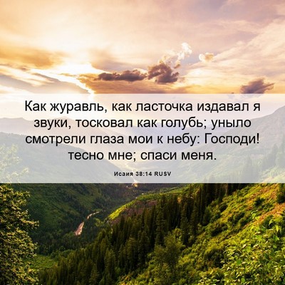 Picture 06 - Исаия 38:14 RUSV - Как журавль, как ласточка - Bible Verse Picture