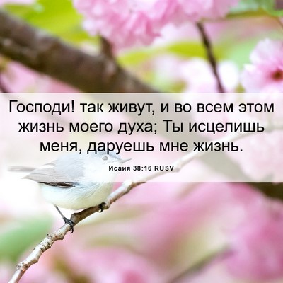 Picture 06 - Исаия 38:16 RUSV - Господи! так живут, и во - Bible Verse Picture