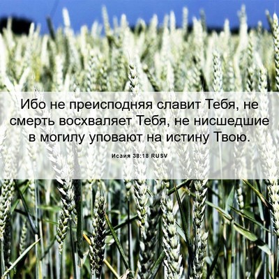 Picture 06 - Исаия 38:18 RUSV - Ибо не преисподняя славит - Bible Verse Picture