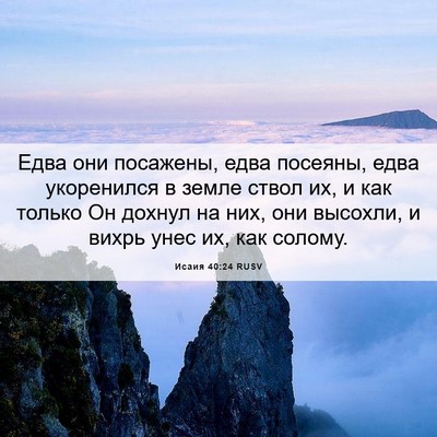Picture 06 - Исаия 40:24 RUSV - Едва они посажены, едва - Bible Verse Picture
