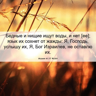 Picture 06 - Исаия 41:17 RUSV - Бедные и нищие ищут воды, и - Bible Verse Picture