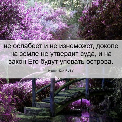Picture 06 - Исаия 42:4 RUSV - не ослабеет и не изнеможет, - Bible Verse Picture